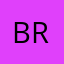 brandlogg