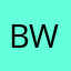 brandon wnag