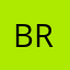 Brian Flores