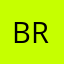 Brian Flores