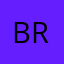 briskbill