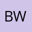 bruce wayne