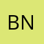 bryan neverreal