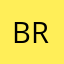 brynnolan
