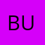 budofbud
