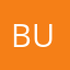 businesscapital
