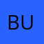 buzzbombus