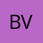bv314
