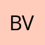 bvbcon