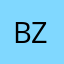 bzaart
