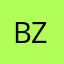bznsnsmsm