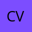const-volatile