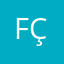 fdn Çelik