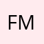 flash mer
