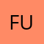 fuvkaustin
