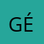 gé1313