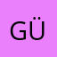 günnnnijj
