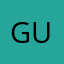 guianzollin