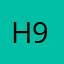 h9t9