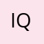 iq.313