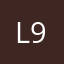 l919199119
