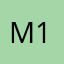 meta 11