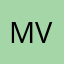 mis van