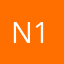 n1e1s1s1a1