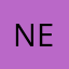 Netto Lin