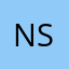 nv snikes
