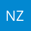 nzt1331