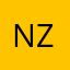 nzviking07