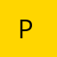p l 06