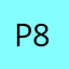 paintballer 89