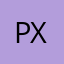 palaily x1