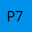 palomo 74