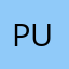 pannus u.
