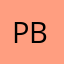 paracute birds