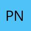 pedram nasri