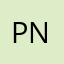 pncreview1