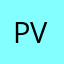 poin of veiw