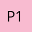 polm 123