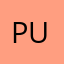 pu_puru_