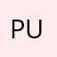 pudit