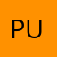 pug61