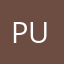 pulibidda