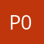 punis 022