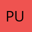 punit.nick