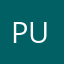 punkpixi