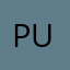 punshi777988